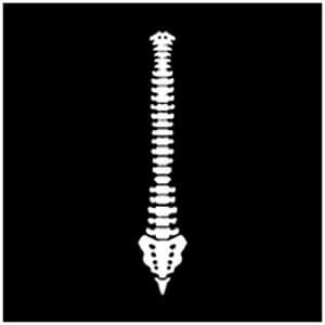 Physio FDR Sport